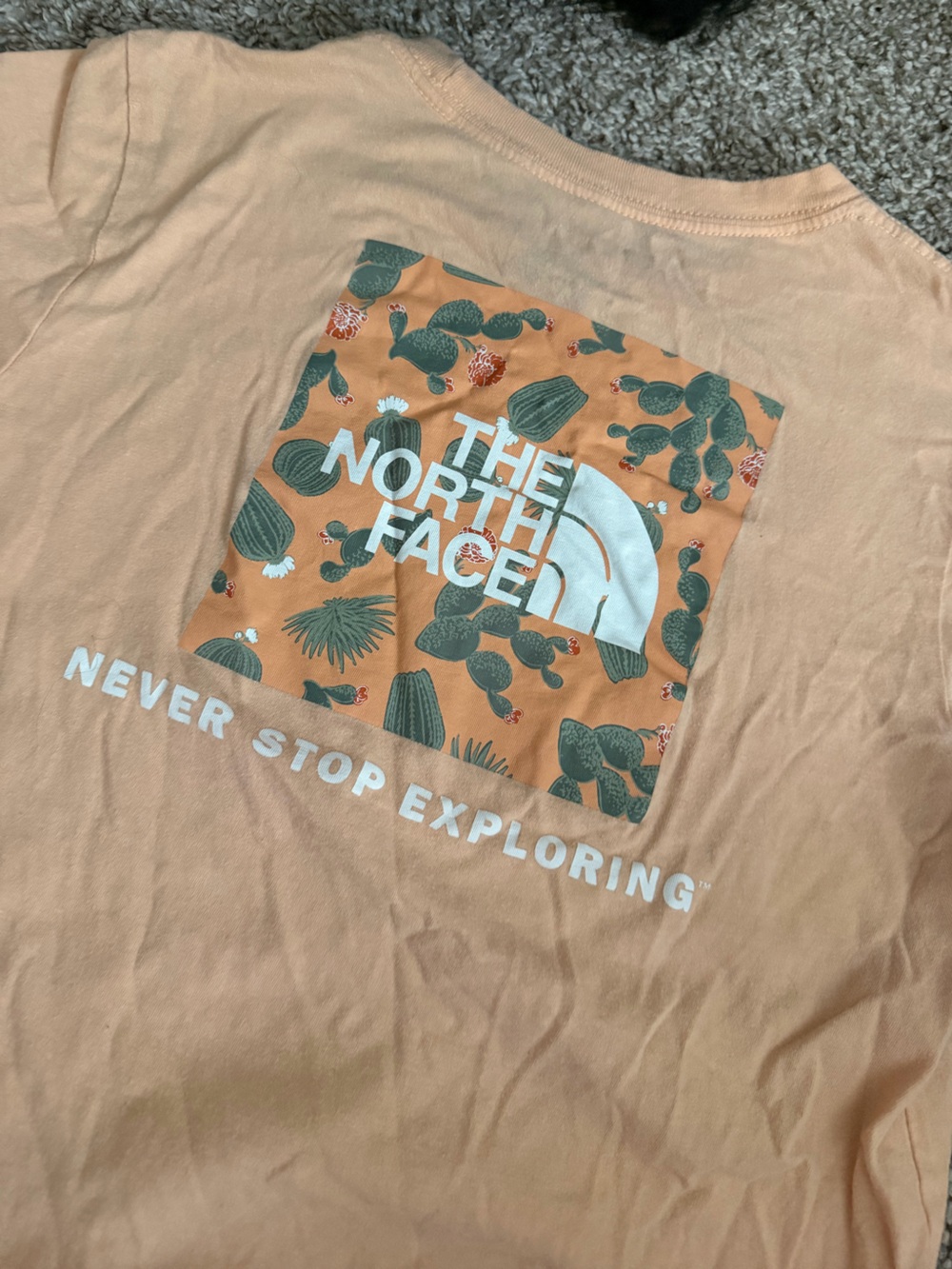 The North Face Peach Cactus Graphic Tee
